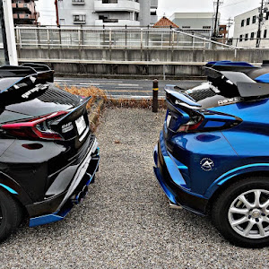 C-HR ZYX10