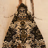 Rustic Sphinx Moth