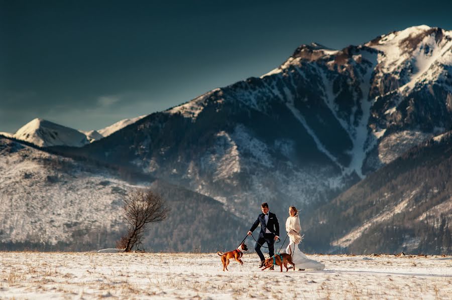 Fotógrafo de casamento Mateusz Marzec (wiosennydesign). Foto de 10 de fevereiro 2020