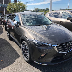 CX-3