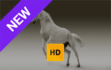 White Horse Wallpaper HD New Tab Theme© small promo image