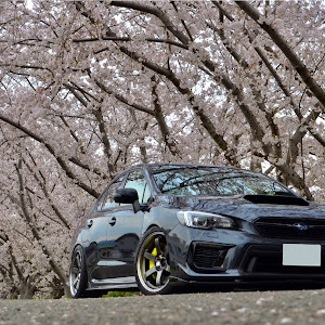 WRX STI VAB