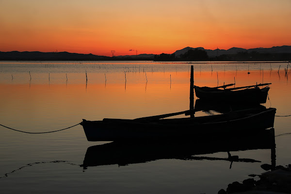 Arancio in laguna di Tefnut_Simo