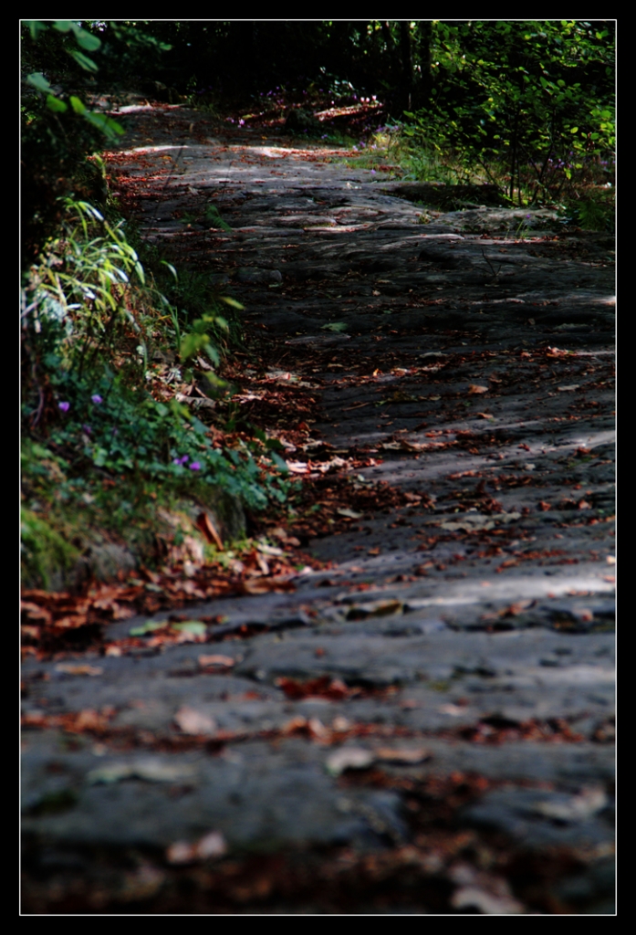 La Via Sacra di Frisonfotografia