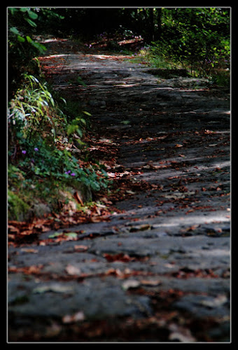 La Via Sacra di Frisonfotografia