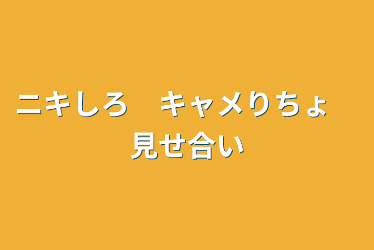 「ニキしろ　キャメりちょ　見せ合い」のメインビジュアル