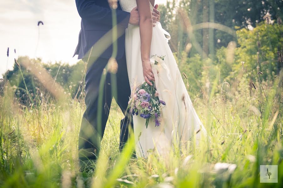 Hochzeitsfotograf Fabienne Louis (louis). Foto vom 26. Oktober 2016