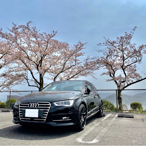 A3 スポーツバック 8VCPT