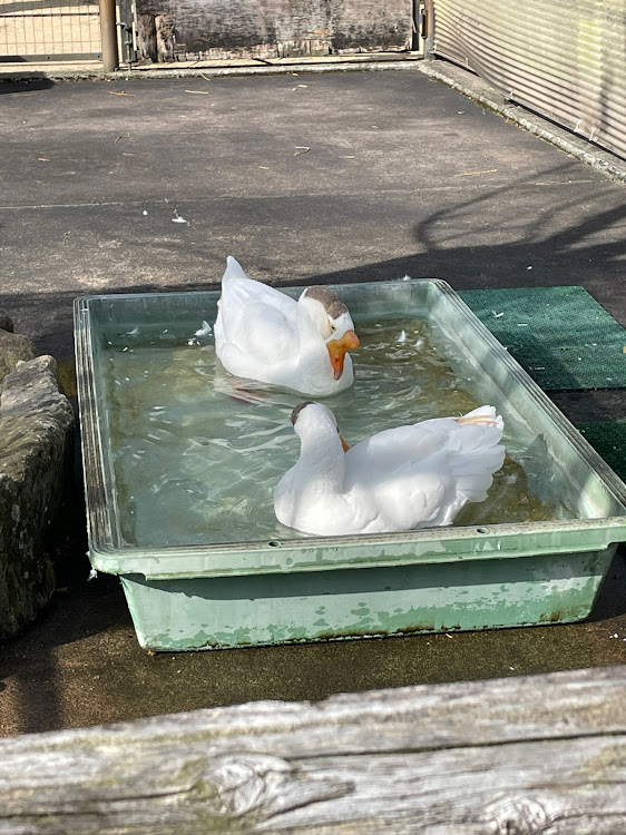 の投稿画像10枚目