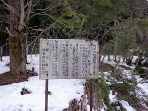 ここまでの道は大河内林道