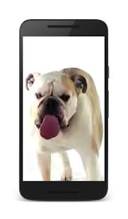 How to install Dog Licks Screen Wallpaper 2.0 unlimited apk for bluestacks