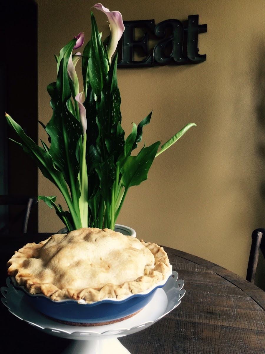 Gluten, dairy, sugar and egg free homemade apple pie