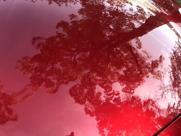 ロードスターの桜とコラボ・桜と愛車に関するカスタム事例の投稿画像2枚目