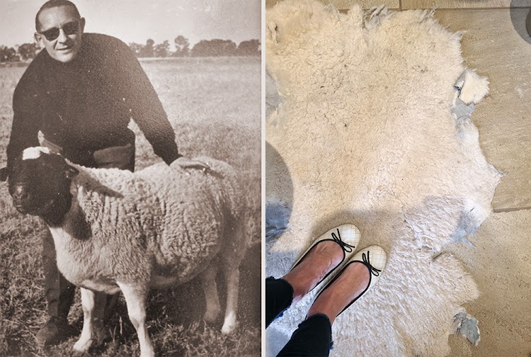 LEFT: My dad, my hero. Dr Zombie van Rensburg with one of his beloved Dorper sheep. RIGHT: Tread softly.