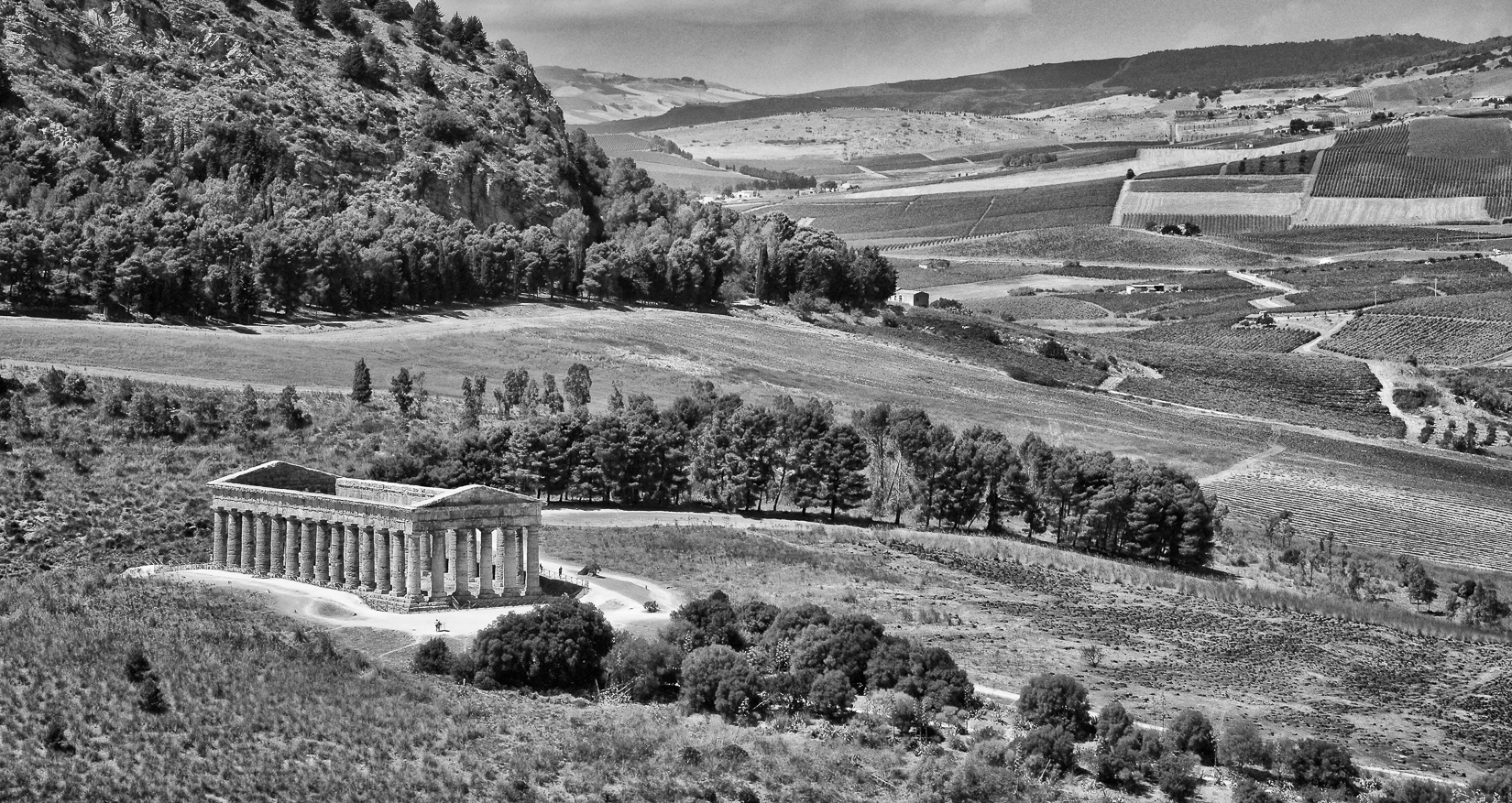 Segesta di marco pardi photo