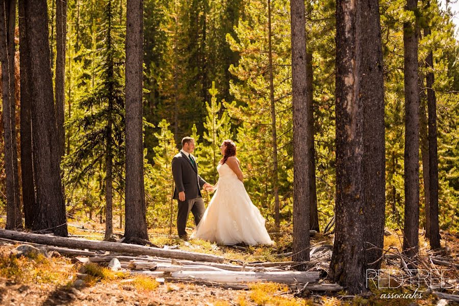 Fotografo di matrimoni Amy Moedt (amymoedt). Foto del 9 maggio 2019