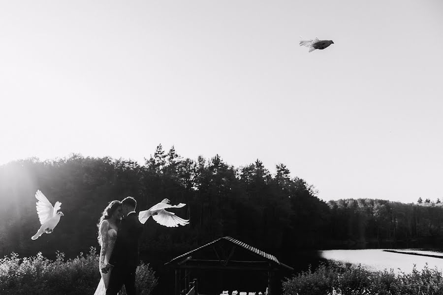 Fotografo di matrimoni Aleksandr Smelov (merilla). Foto del 30 settembre 2016