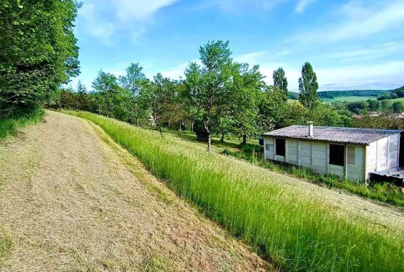  Vente Terrain à bâtir - 11 934m² à Donnemarie (52800) 