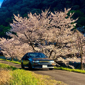 カローラレビン AE86