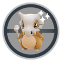 Cubone