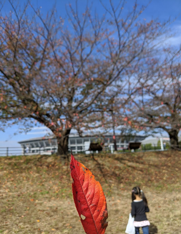 の投稿画像2枚目