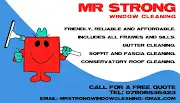 MR STRONG WINDOW CLEANING Logo