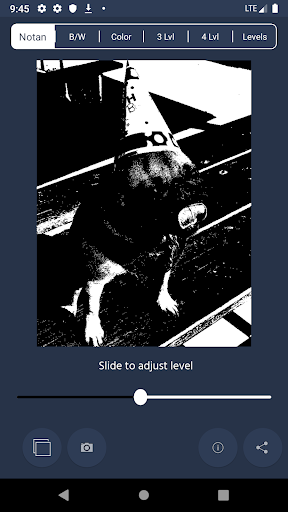 Screenshot NotanIzer