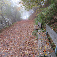 Foliage e Nebbia di Laucol