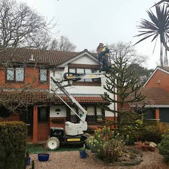 Roof Cleaning album cover