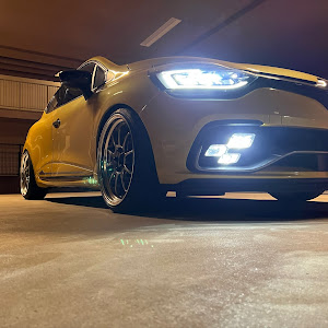 ルーテシア RM5M1