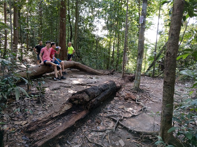 Mount Pulai checkpoint