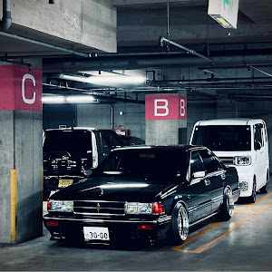 セドリック PAY31