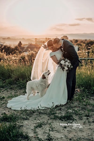 Photographe de mariage Silvia Pavlíková (pavlikovasilvia). Photo du 4 septembre 2023