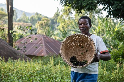 Elizabeth Omusiele shows the diverse seeds she is growing on her farm with support from the Alliance and partners and funders including Biovision Foundation Switzerland and the Agriculture for Nutrition and health.