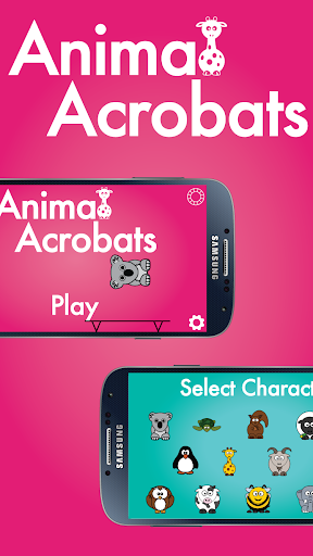 Animal Acrobats