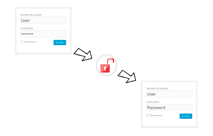 Show Passwords chrome extension