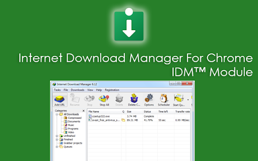 Internet Download Manager IDM™ Module