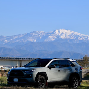 RAV4 AXAH54