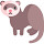 Ferret Wallpaper Ferrets NewTab freeaddon.com