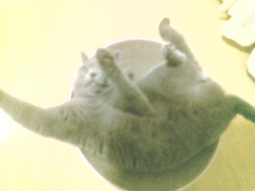 くり（ぐり）