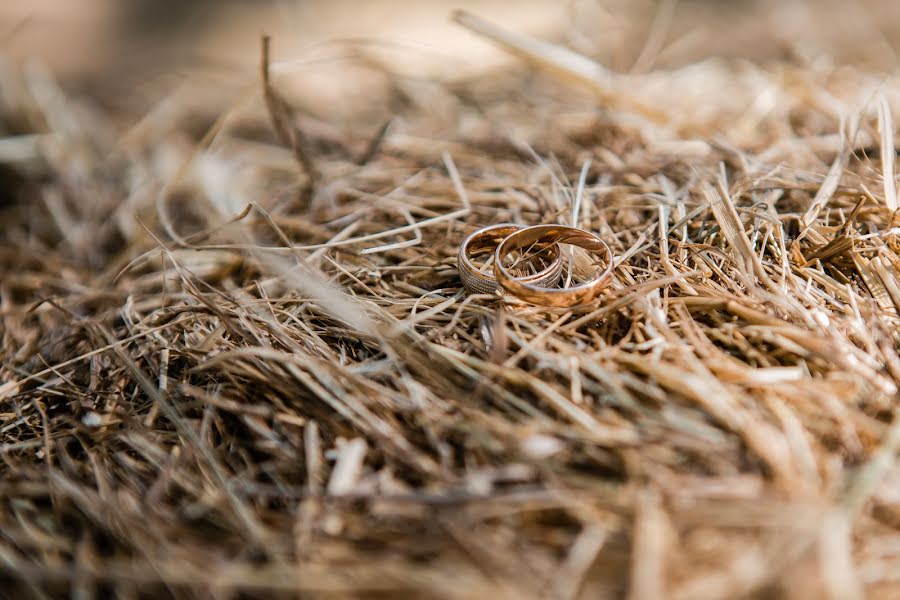 Vestuvių fotografas Anna Khomko (annahamster). Nuotrauka 2019 liepos 15