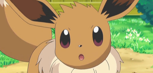 eevee