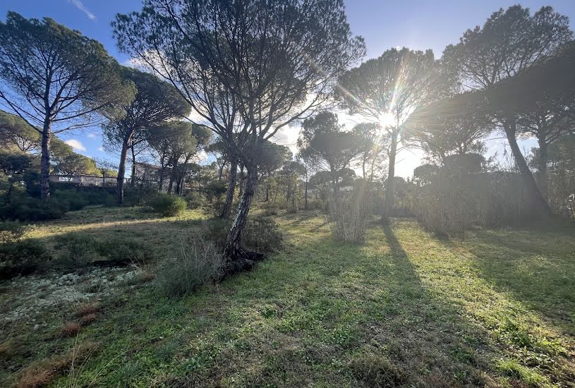  Vente Terrain à bâtir - 2 000m² à Vidauban (83550) 