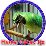 Cover Image of Download Master Cucak Ijo Gacor 1.0.0 APK