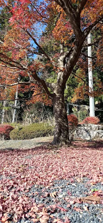 「質問募集･そして答える」のメインビジュアル