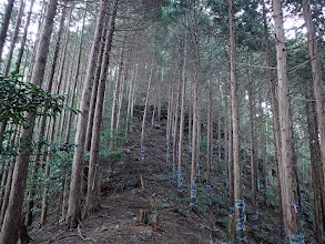 岩を避けながら進む