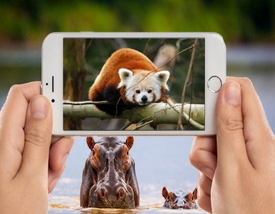 How to get Baby Animal Photo Frames lastet apk for android