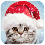 Cover Image of Baixar Molduras para Fotos de Natal, Editor  APK