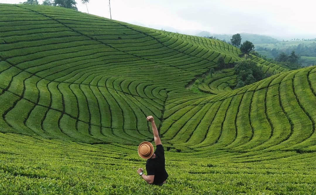 11 Tempat Wisata Bandung Selatan yang Sejuk dan Nyaman