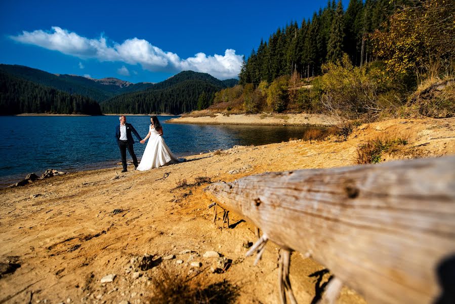 Photographe de mariage Marius Stoian (stoian). Photo du 28 novembre 2018